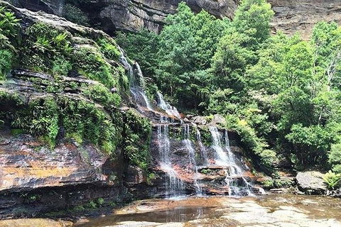 Blue Mountains Highlights & Wildlife Park - Restaurant Gold Coast 8