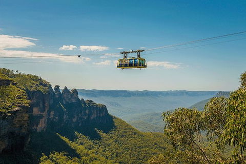 Blue Mountains Highlights, Wildlife Park And Scenic World Full Day Private Tour - Restaurant Gold Coast 0
