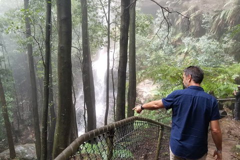 Blue Mountains Highlights, Wildlife Park And Scenic World Full Day Private Tour - Restaurant Gold Coast 6