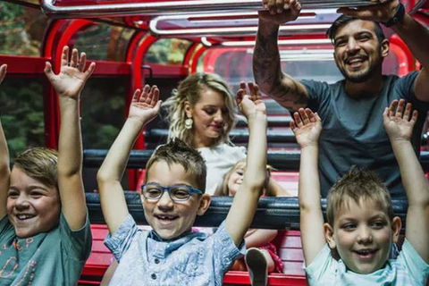 Blue Mountains Highlights, Wildlife Park And Scenic World Full Day Private Tour - Restaurant Gold Coast 5