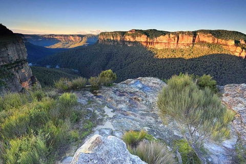 Blue Mountains Highlights, Wildlife Park And Scenic World Full Day Private Tour - Restaurant Gold Coast 4