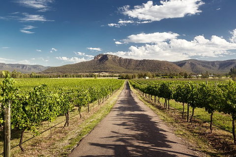 Hunter Valley Highlights Private Wine Tour From Sydney - Restaurant Gold Coast 2