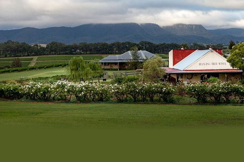 Hunter Valley Highlights Private Wine Tour From Sydney - Restaurant Gold Coast 5