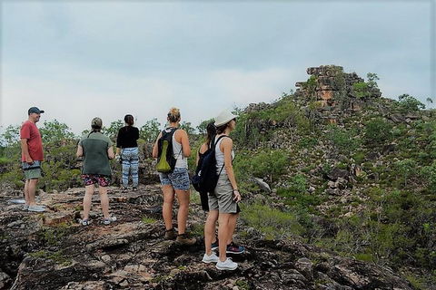 ETHICAL ADVENTURES - Dry Season Litchfield Region, Max 10 Guests - Restaurant Gold Coast 6