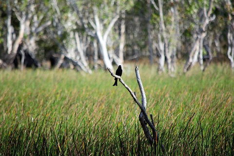 ETHICAL ADVENTURES - Dry Season Litchfield Region, Max 10 Guests - Restaurant Gold Coast 2