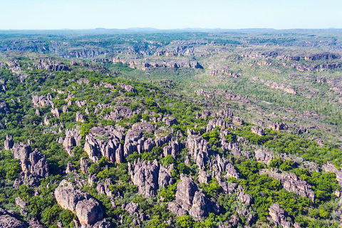 Jabiru 30 Minute Scenic Flight - Restaurant Gold Coast 1