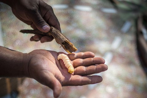 Karrke Aboriginal Cultural Experience - Restaurant Gold Coast 4