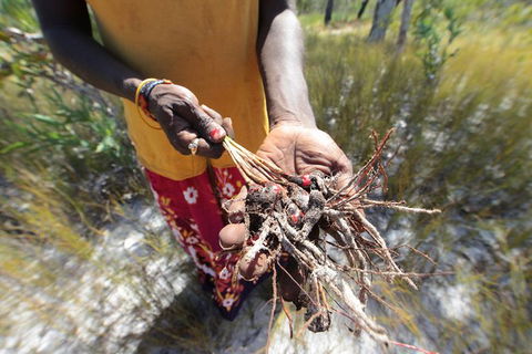 Gay-Wu Woman\'s 5 Day Yolngu Homeland Tour - Restaurant Gold Coast 10