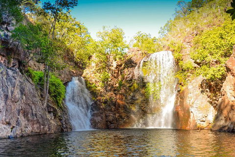 Litchfield National Park Waterfalls Day Trip From Darwin Including Termite Mounds And Lunch - Restaurant Gold Coast 0