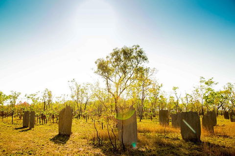 Litchfield National Park Waterfalls Day Trip From Darwin Including Termite Mounds And Lunch - Restaurant Gold Coast 1