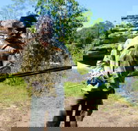 Kakadu  Arnhem Land tour Camping tour - Restaurant Gold Coast