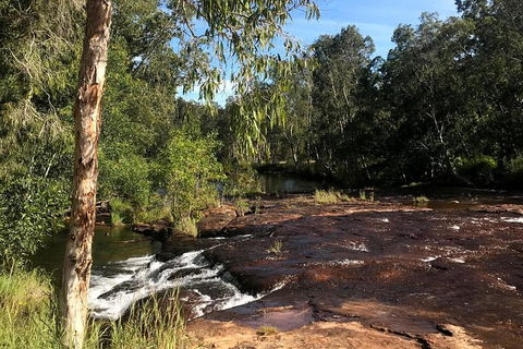 4-Hour Groote Eylandt Explorer 4WD Tour - Restaurant Gold Coast 5