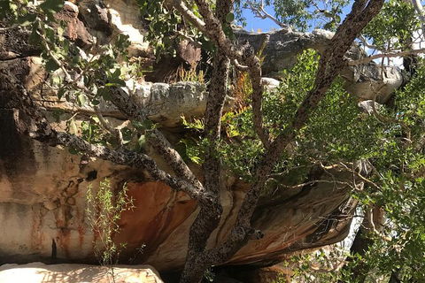 4-Hour Groote Eylandt Explorer 4WD Tour - Restaurant Gold Coast 1