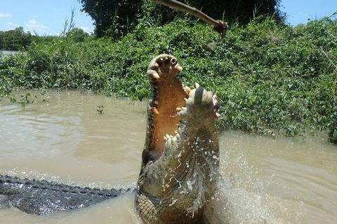Jumping Crocodile Day Trip From Darwin - Restaurant Gold Coast 4