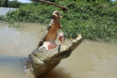Jumping Crocodile Day Trip From Darwin - Restaurant Gold Coast 2