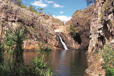 Kakadu, Katherine & Litchfield Adventure - Restaurant Gold Coast 1