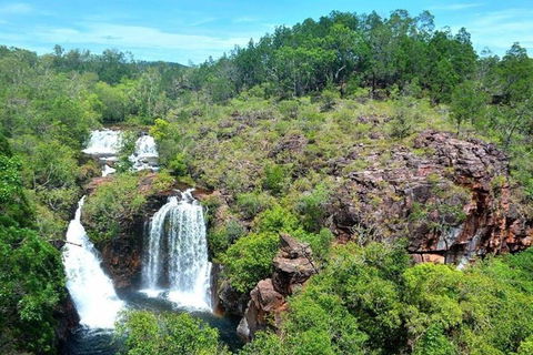 Darwin: Premium Litchfield Regional 11 Hours Tour - Restaurant Gold Coast 5
