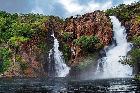 Darwin: Premium Litchfield Regional 11 Hours Tour - Restaurant Gold Coast 0