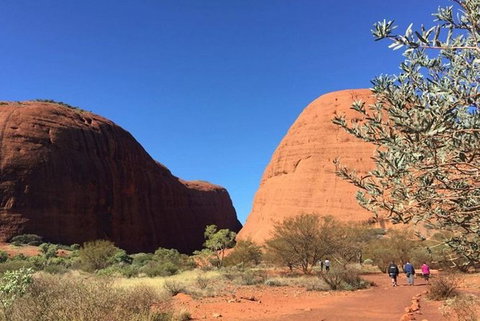 5-Hour Kata Tjuta Sunrise Tour From Ayers Rock With Breakfast - Restaurant Gold Coast 2