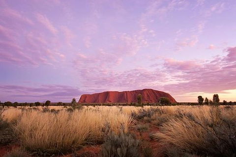 Sunset Australian Barbecue Dinner In Uluru - Restaurant Gold Coast 0