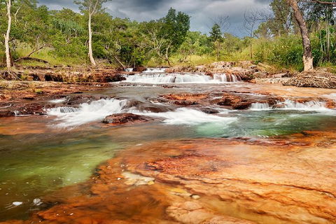 Full-Day Private Guided Tour To Litchfield National Park - Restaurant Gold Coast 14