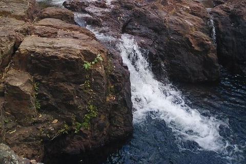 Full-Day Private Guided Tour To Litchfield National Park - Restaurant Gold Coast 8