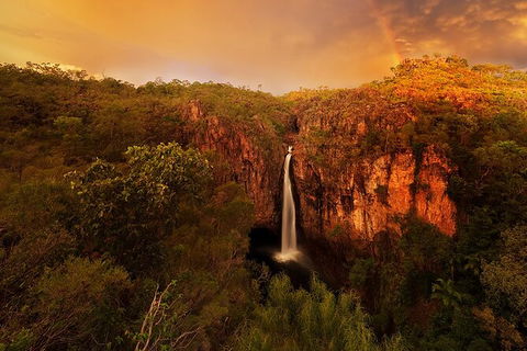 Full-Day Private Guided Tour To Litchfield National Park - Restaurant Gold Coast 20