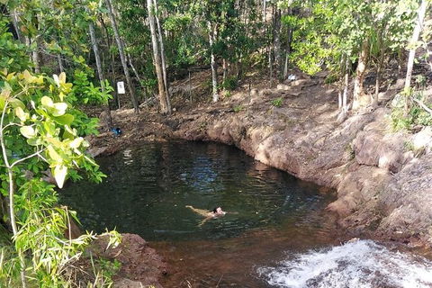 Full-Day Private Guided Tour To Litchfield National Park - Restaurant Gold Coast 18