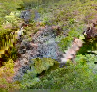Full-Day Private Guided Tour to Litchfield National Park - Restaurant Gold Coast