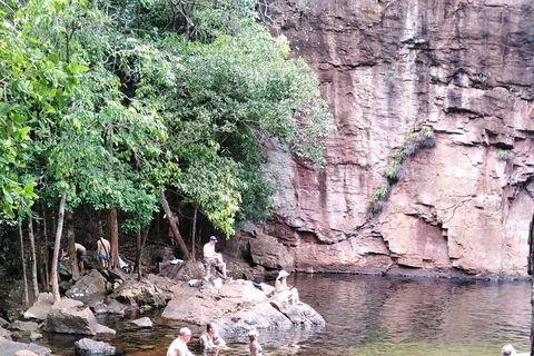 Full-Day Private Guided Tour To Litchfield National Park - Restaurant Gold Coast 16
