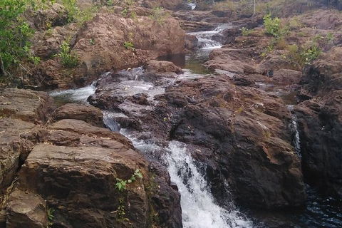 Full-Day Private Guided Tour To Litchfield National Park - Restaurant Gold Coast 15