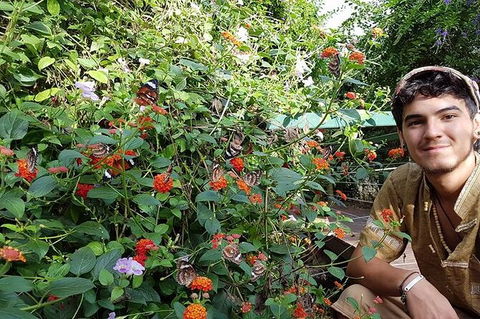 Full-Day Private Guided Tour To Litchfield National Park - Restaurant Gold Coast 17