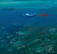 Green Island  Great Barrier Reef Sailing Cruise from Cairns - only 25 guests - Restaurant Gold Coast