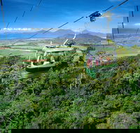 Best of Kuranda Including Skyrail Kuranda Scenic Railway and Rainforestation - Restaurant Gold Coast