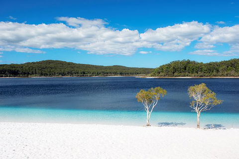 All-Inclusive Fraser Island Day Tour - Restaurant Gold Coast 2