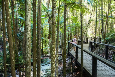 All-Inclusive Fraser Island Day Tour - Restaurant Gold Coast 7