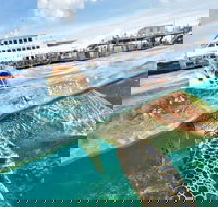 Outer Reef Pontoon Experience from Cairns - Restaurant Gold Coast