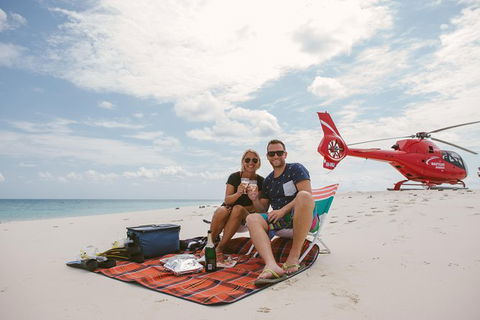 Private Helicopter Tour: Reef Island Snorkeling And Gourmet Picnic Lunch - Restaurant Gold Coast 2