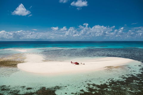 Private Helicopter Tour: Reef Island Snorkeling And Gourmet Picnic Lunch - Restaurant Gold Coast 3