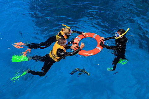 Great Barrier Reef Adventure From Cairns - Restaurant Gold Coast 2