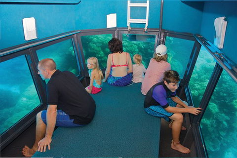 Great Barrier Reef Adventure From Cairns - Restaurant Gold Coast 3