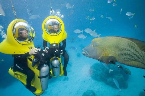 Great Barrier Reef Adventure From Cairns - Restaurant Gold Coast 5