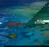 Great Barrier Reef Adventure from Cairns - Restaurant Gold Coast