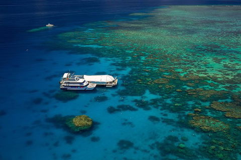 Great Barrier Reef Adventure From Cairns - Restaurant Gold Coast 0
