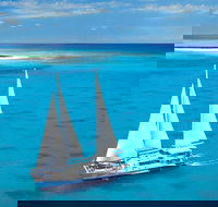 Ocean Spirit Michaelmas Cay Dive and Snorkel Cruise from Cairns - Restaurant Gold Coast