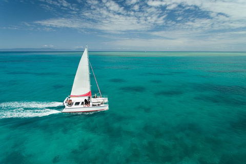 Full-Day Great Barrier Reef Sailing Trip - Restaurant Gold Coast 0