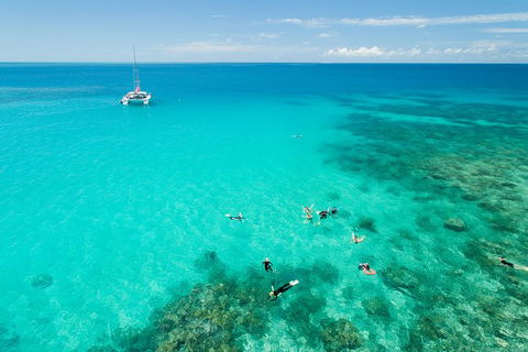 Full-Day Great Barrier Reef Sailing Trip - Restaurant Gold Coast 5