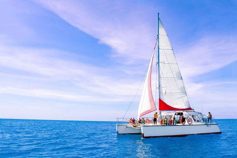 Full-Day Great Barrier Reef Sailing Trip - Restaurant Gold Coast 1