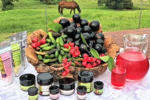 Boutique Atherton Tablelands Small-Group Food And Wine Tasting Tour From Cairns - Restaurant Gold Coast 10