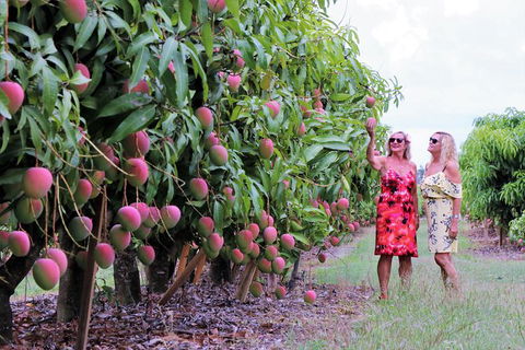 Boutique Atherton Tablelands Small-Group Food And Wine Tasting Tour From Cairns - Restaurant Gold Coast 25